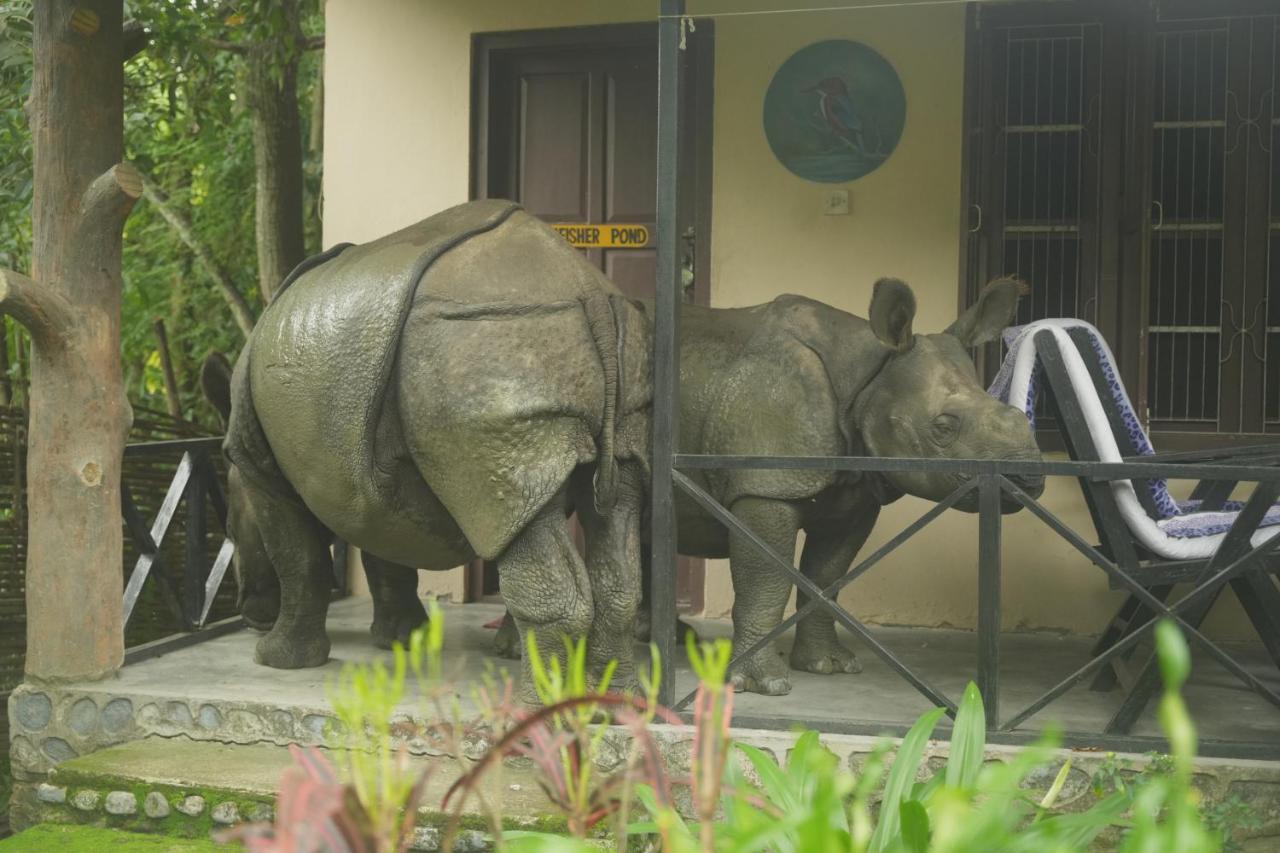 Chitwan Gaida Lodge - Animal Lovers & Birdwatchers Paradise Sauraha Dış mekan fotoğraf