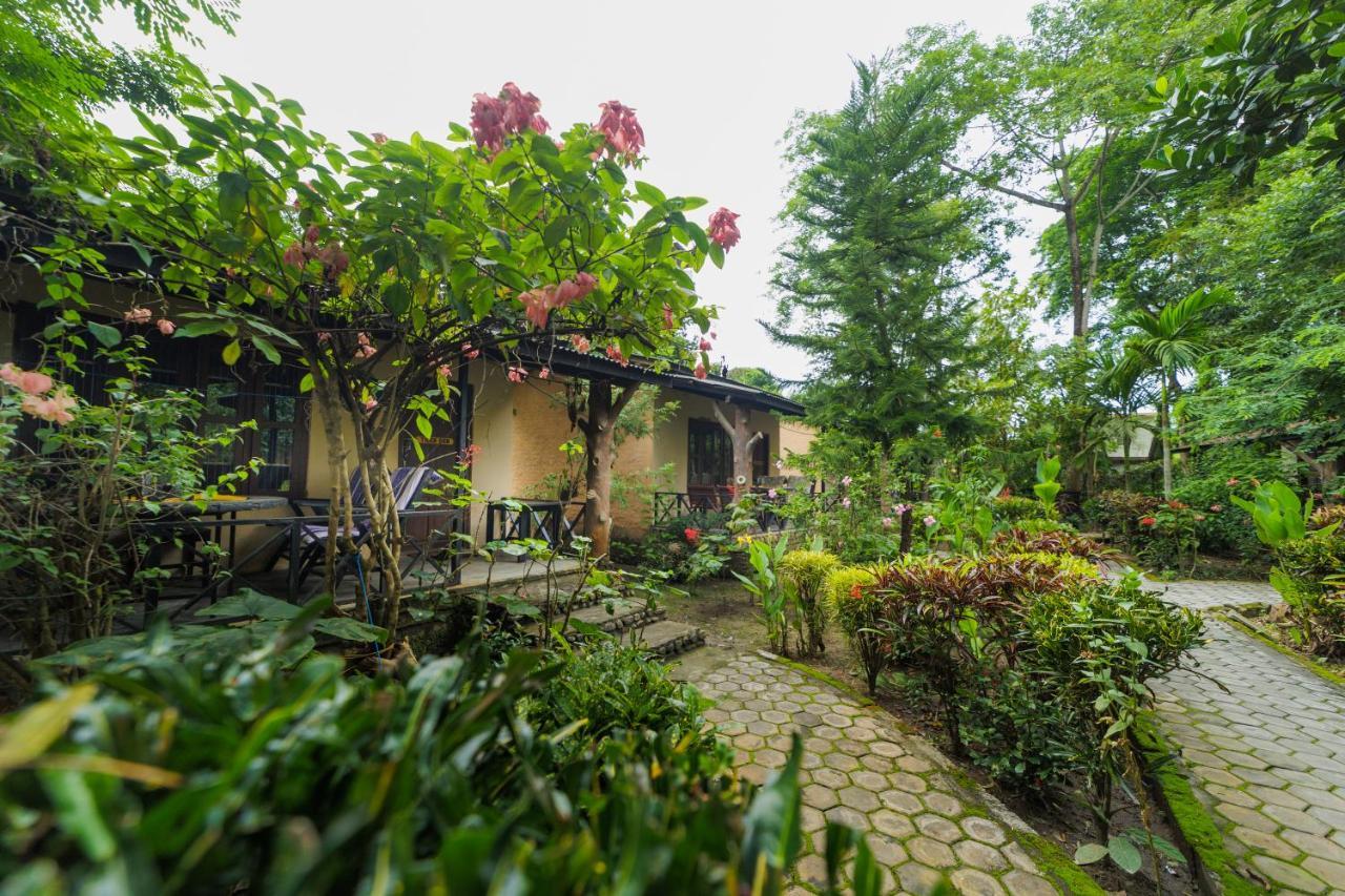 Chitwan Gaida Lodge - Animal Lovers & Birdwatchers Paradise Sauraha Dış mekan fotoğraf