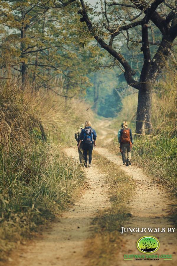 Chitwan Gaida Lodge - Animal Lovers & Birdwatchers Paradise Sauraha Dış mekan fotoğraf