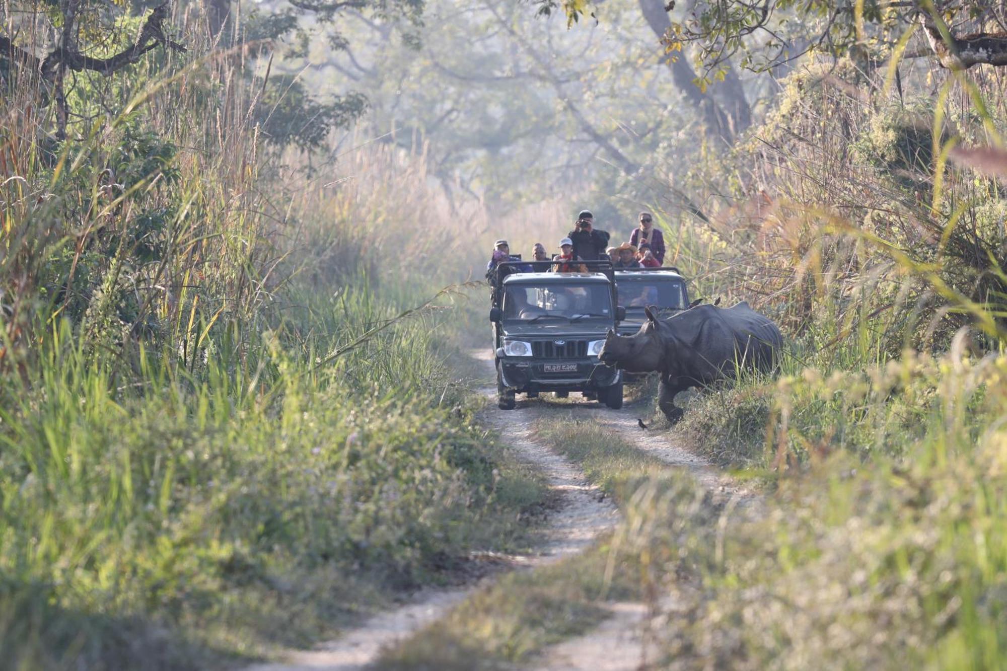 Chitwan Gaida Lodge - Animal Lovers & Birdwatchers Paradise Sauraha Dış mekan fotoğraf