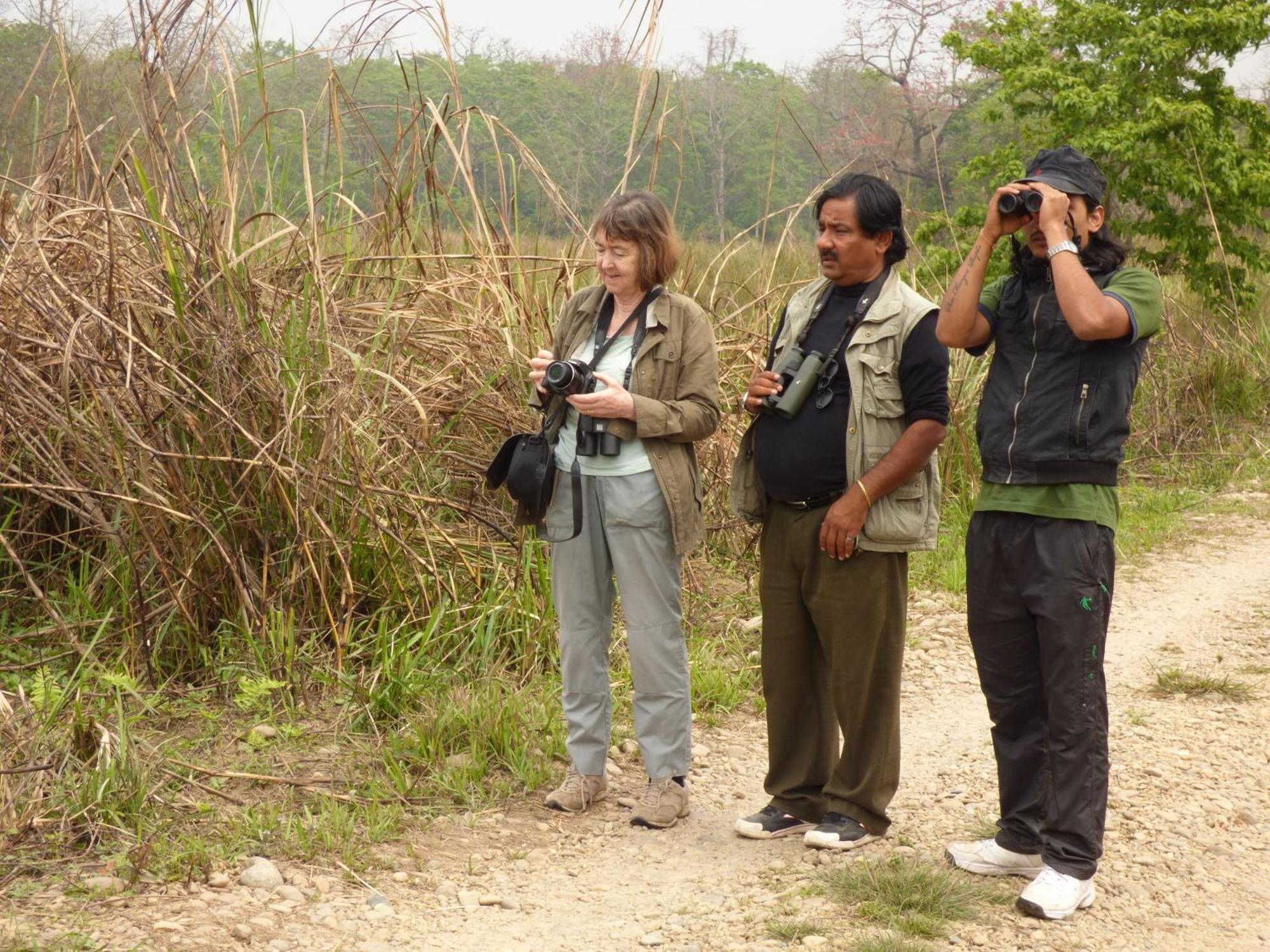 Chitwan Gaida Lodge - Animal Lovers & Birdwatchers Paradise Sauraha Dış mekan fotoğraf