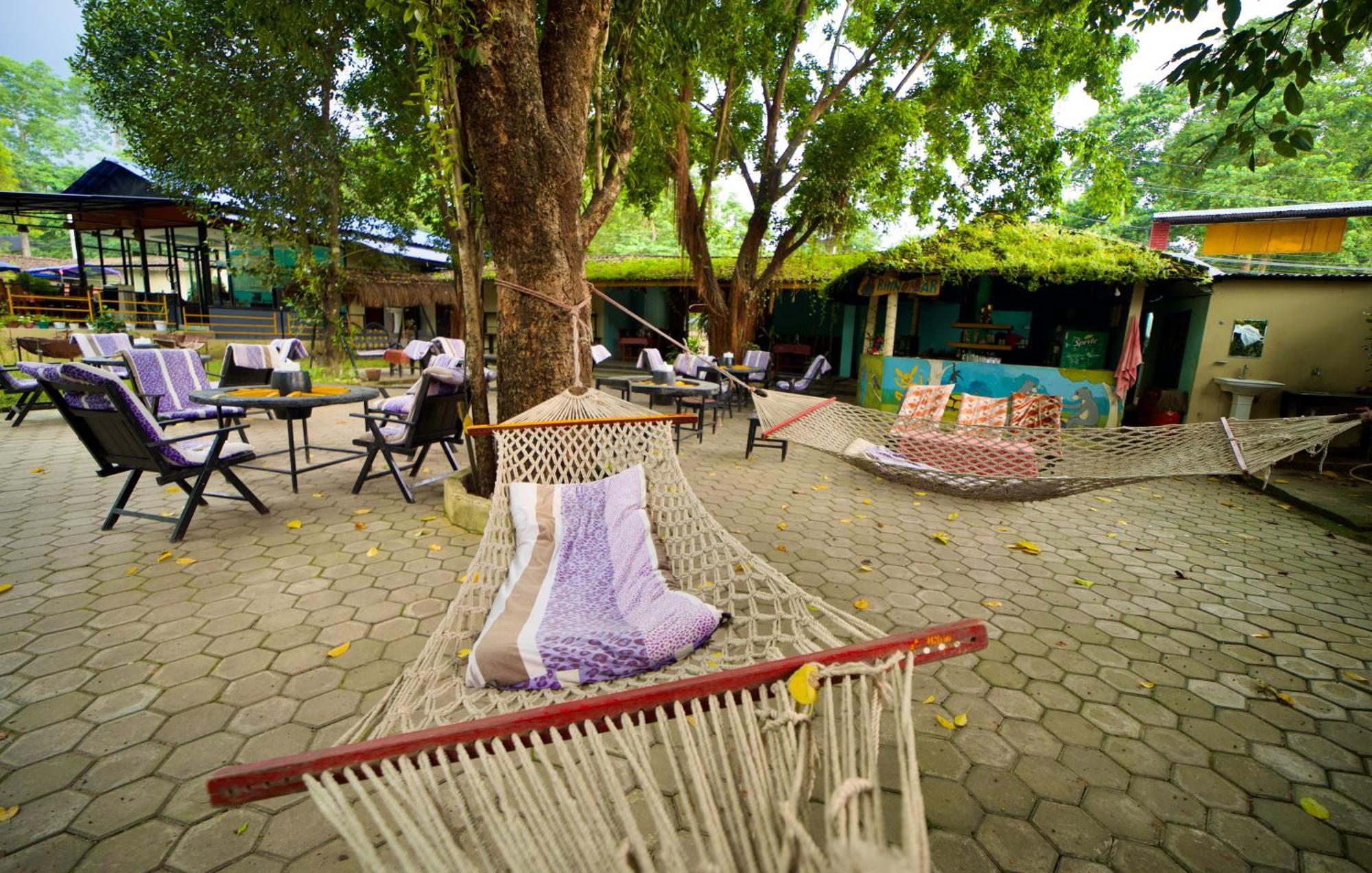 Chitwan Gaida Lodge - Animal Lovers & Birdwatchers Paradise Sauraha Dış mekan fotoğraf